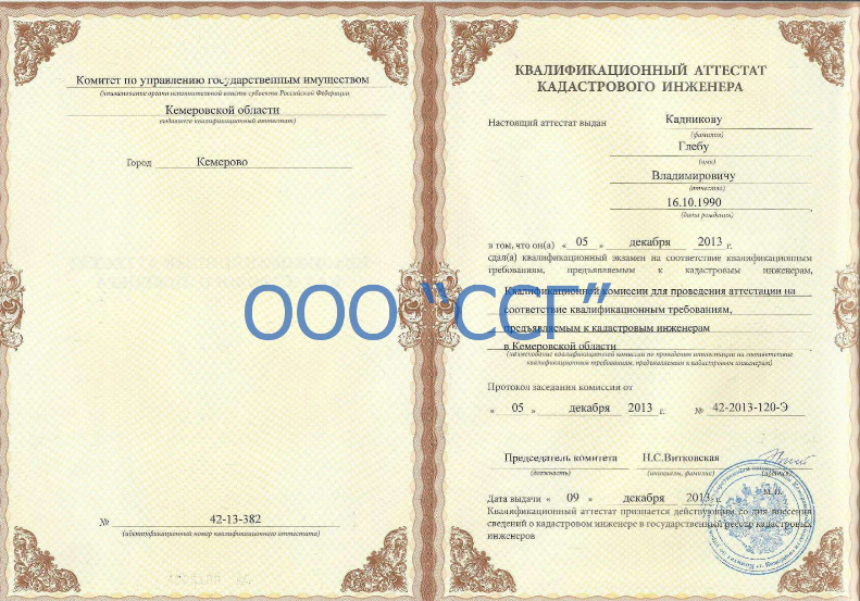 Квалификационный аттестат Главного кадастрового инженера ООО «ССГ» Кадникова Г.В.